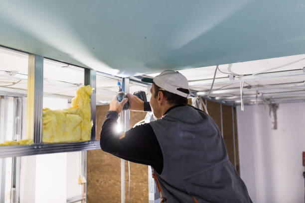 Best Geographic-Specific Insulation Services in Knoxville, IA