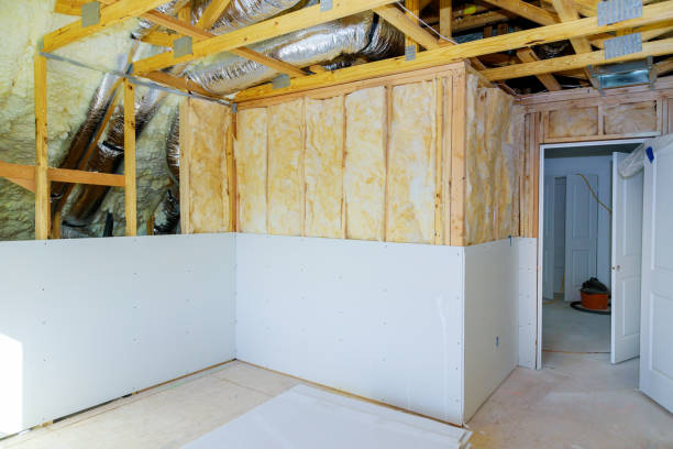 Best Specialized Insulation Services in Knoxville, IA
